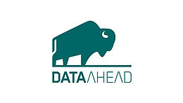 Data Ahead Logo
